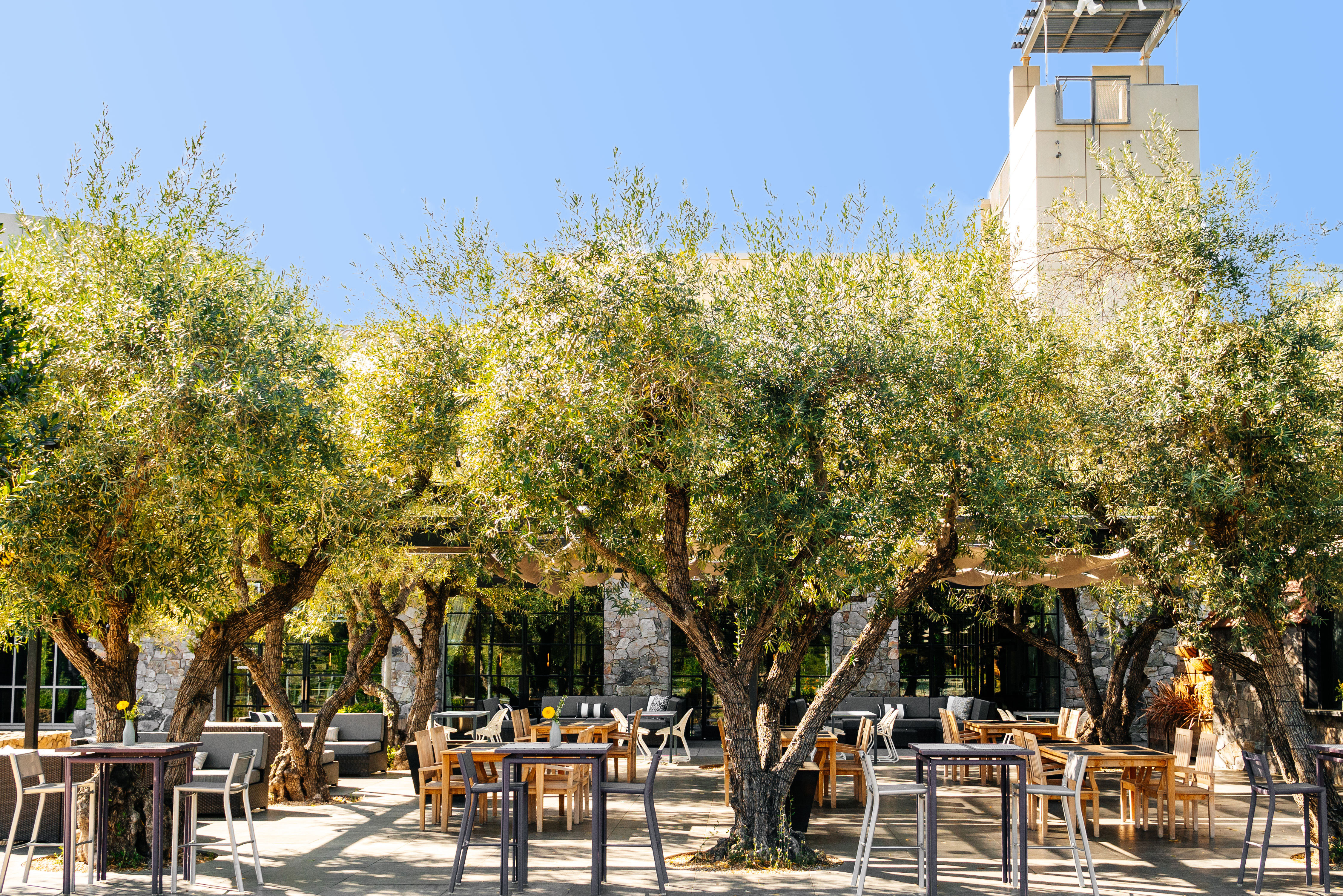 The Grove at COPIA